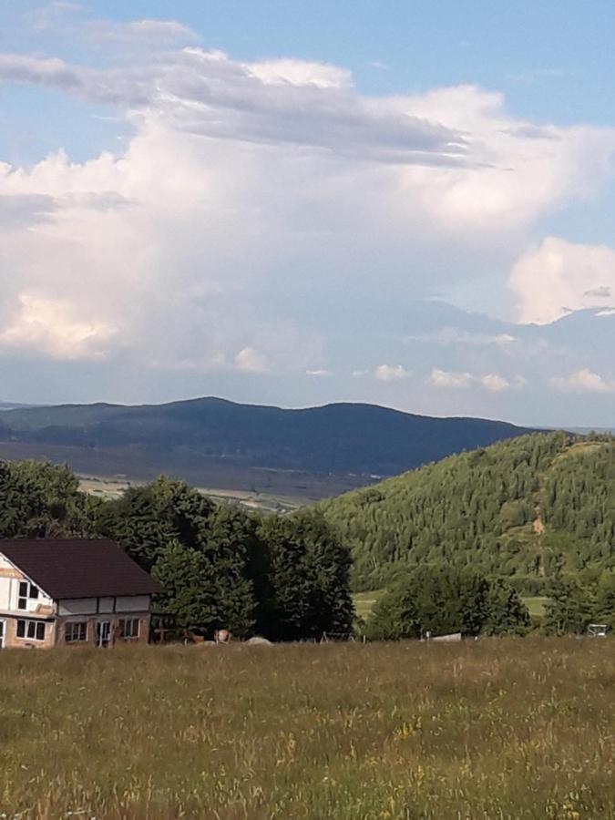 Pensiunea Natura Sadu Hermannstadt Exterior foto