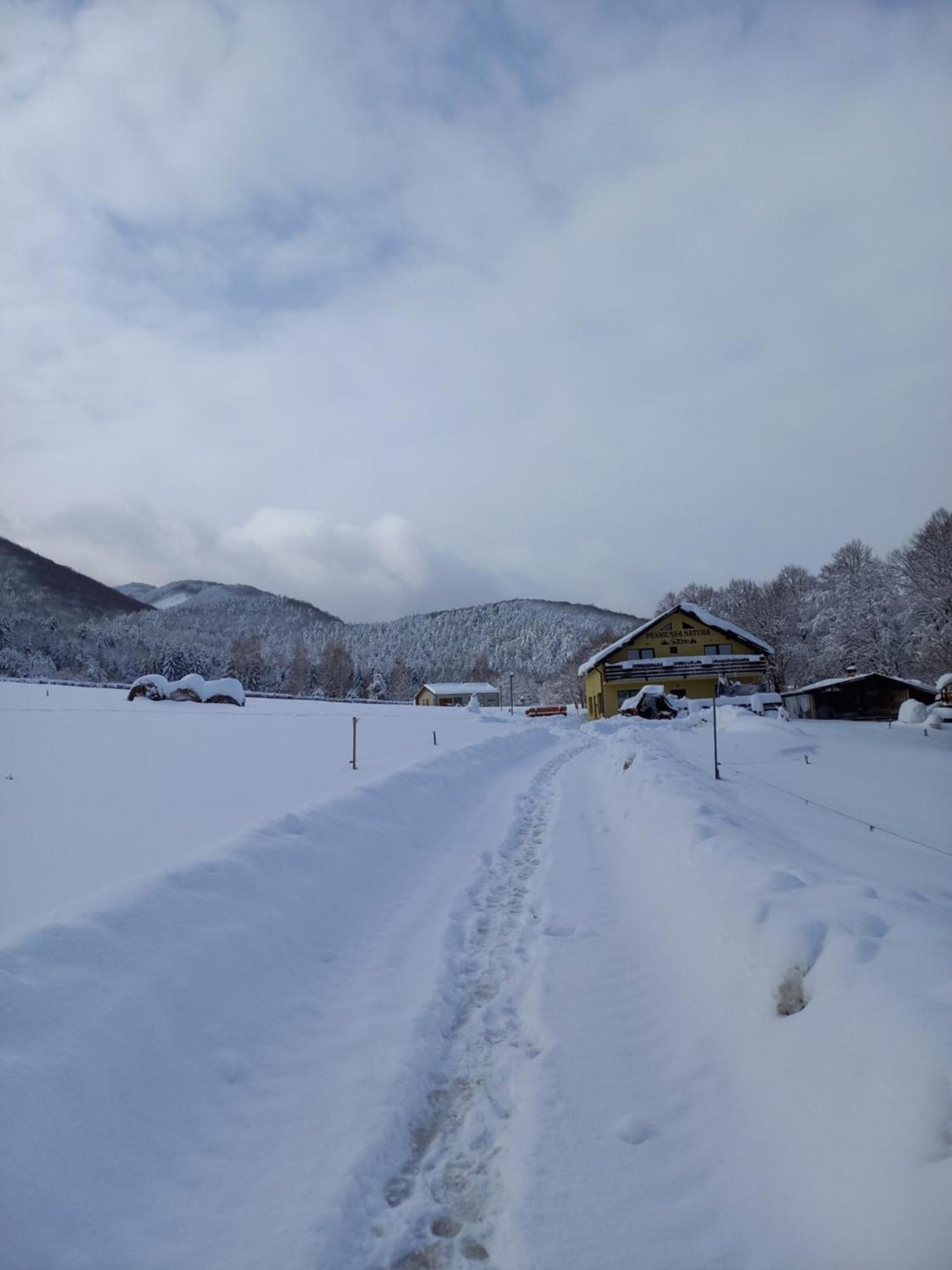 Pensiunea Natura Sadu Hermannstadt Exterior foto